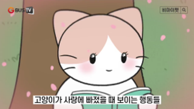 비마이펫_사랑에 빠진 고양이